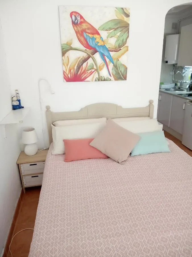פוארטו דה לה קרוז Luminoso Y Tranquilo Estudio Zona Botanico דירה