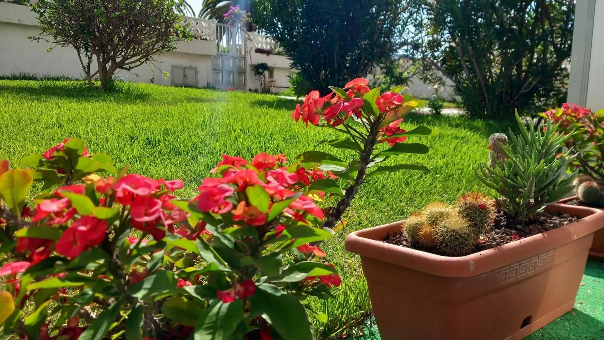 פוארטו דה לה קרוז Luminoso Y Tranquilo Estudio Zona Botanico ספרד