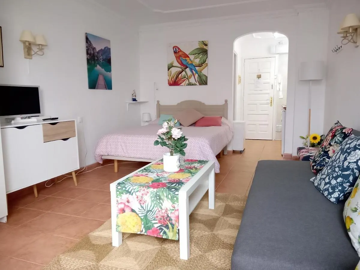 Apartment Luminoso Y Tranquilo Estudio Zona Botanico Puerto de la Cruz