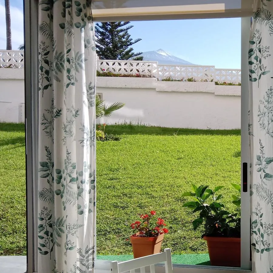 Apartment Luminoso Y Tranquilo Estudio Zona Botanico Puerto de la Cruz