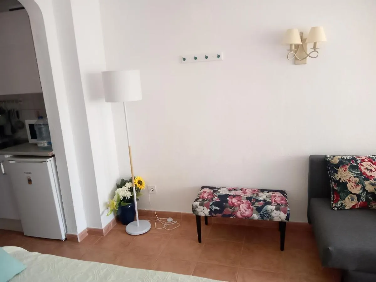 Apartment Luminoso Y Tranquilo Estudio Zona Botanico Puerto de la Cruz  Spain