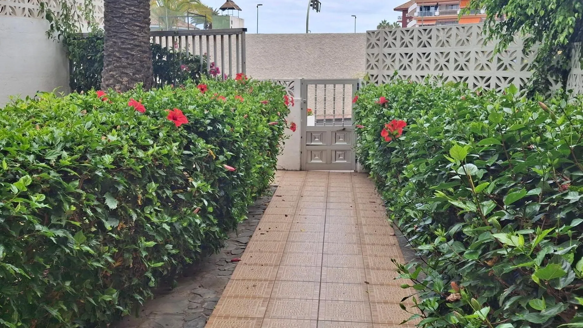 Apartment Luminoso Y Tranquilo Estudio Zona Botanico Puerto de la Cruz